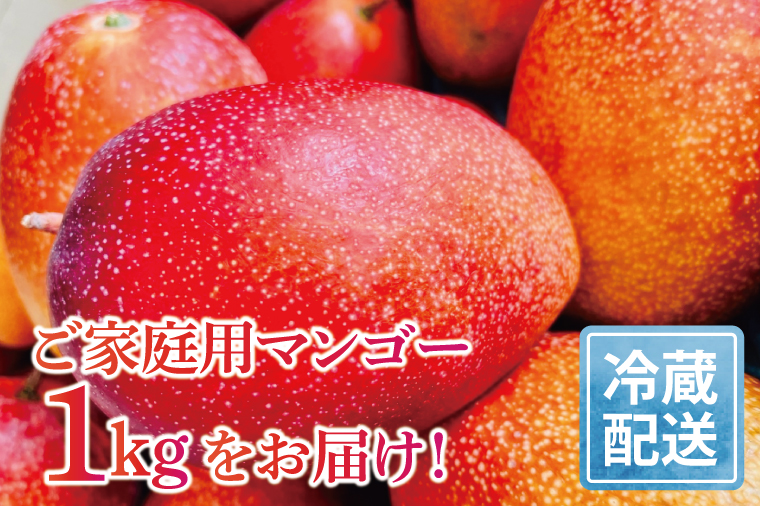 【2025年6月下旬より順次発送】マンゴーの里！豊見城市産♪あま〜い♪アップルマンゴー 約1kg(2〜4玉)(家庭用)｜マンゴー アップルマンゴー フルーツ 果物 くだもの 南国フルーツ 数量限定 先