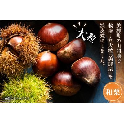ふるさと納税 美郷町 栗の渋皮煮 200g×2袋セット |  | 01