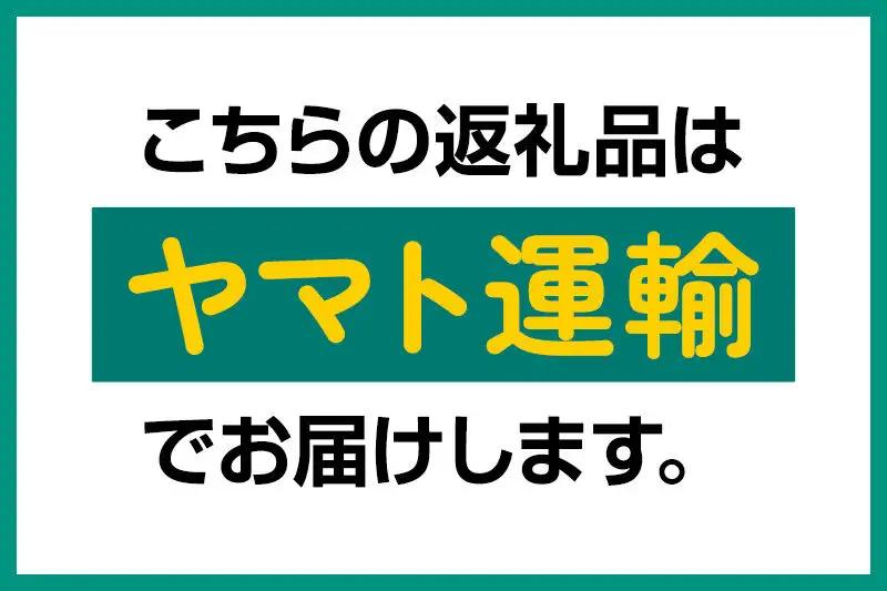 【定期便2回 隔月でお届け】米 白米 パックご飯 200g×40個《特A産地》秋田県 仙北市産 あきたこまち パックごはん