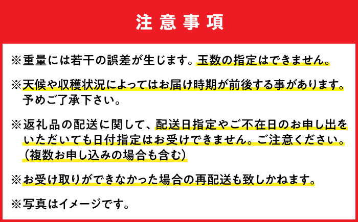 【先行予約】【優秀賞受賞】沖縄県産 完熟マンゴー 贈答用 1kg (2～3玉) マンゴー 沖縄 果物 フルーツ ギフト 沖縄市 / MAIFARM [BCAN001]