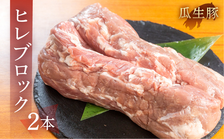 訳あり 国産豚肉  ヒレ ブロック 2本  豚肉 瓜生