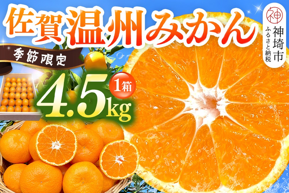 【先行受付 令和8年11月下旬より発送】佐賀温州みかん(1箱 4.5kg)【フルーツ 佐賀 佐賀県産 早生みかん 温州みかん ギフト 贈答 プレゼント】(H072107)