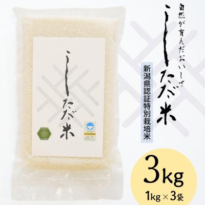 ふるさと納税 三条市 新米 新潟県認証特別栽培米 コシヒカリ 3kg(1×3袋)[しただ米] 令和7年産【010S658】