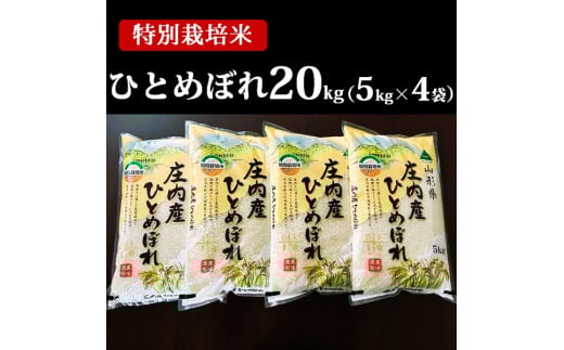 【令和7年産・精米】特別栽培米ひとめぼれ20kg（5kg×4袋）
