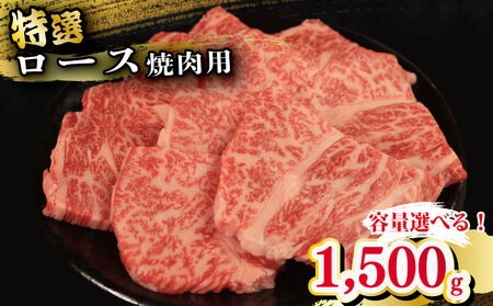 牛肉 特選 ロース 1.5kg 焼肉用 国産和牛 焼肉 焼肉 焼肉 焼肉 焼肉 焼肉 焼肉