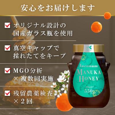 ふるさと納税 和泉市 インカナム マヌカハニー 500g  MGO 550+　6個セット |  | 03