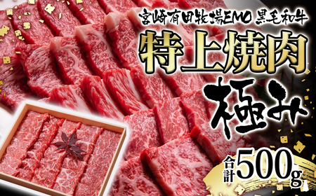 黒毛和牛　特上焼肉極み500g　宮崎有田牧場　EMO牛　国産牛肉＜1.8-23＞
