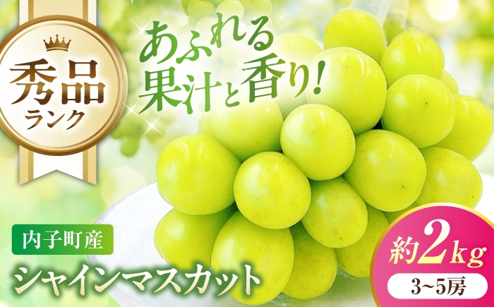 
                  シャインマスカット 【先行予約】 秀品 3～5房 約2kg ＜2026年8月下旬～発送開始＞ ／ シャインマスカット しゃいんますかっと シャイン マスカット ますかっと Shine Muscat 秀品 3～5房 皮ごと 葡萄 ブドウ ぶどう 旬 新鮮 フルーツ ふるーつ fruit 果物 くだもの 果実 人気 愛媛県 愛媛県産 内子町産 国産 【株式会社フジ・アグリフーズ】 [BKAY005]
                