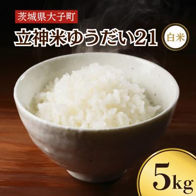 ふるさと納税 大子町 立神米ゆうだい21(白米)5kg 令和7年産 新米【谷田部農産】産地直送