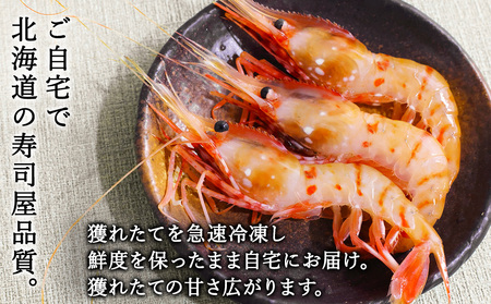 お刺身ボタンエビ500g大中【配送不可地域：離島】【1381002】