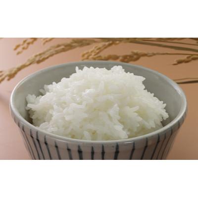 ふるさと納税 大潟村 サキホコレ精米5kg |  | 03