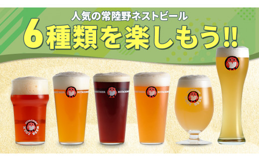 【 お中元 熨斗 付き 】 常陸野ネストビール 6種 12本 飲み比べ セット ビール クラフトビール 地ビール ネストビール 酒 お酒 アルコール 瓶 木内酒造 詰め合わせ IPA ペールエール ヴ