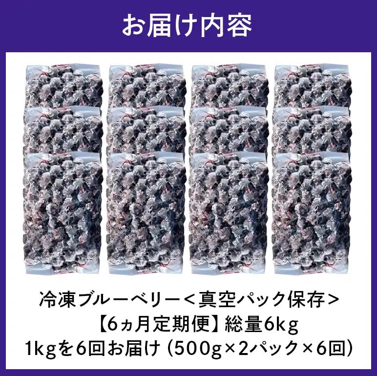 【6か月定期便】岐阜県産 冷凍ブルーベリー＜真空パック保存＞1kgパック A16-020
