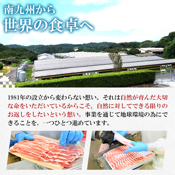 九州産豚肉4種 贅沢セット 2.25kg