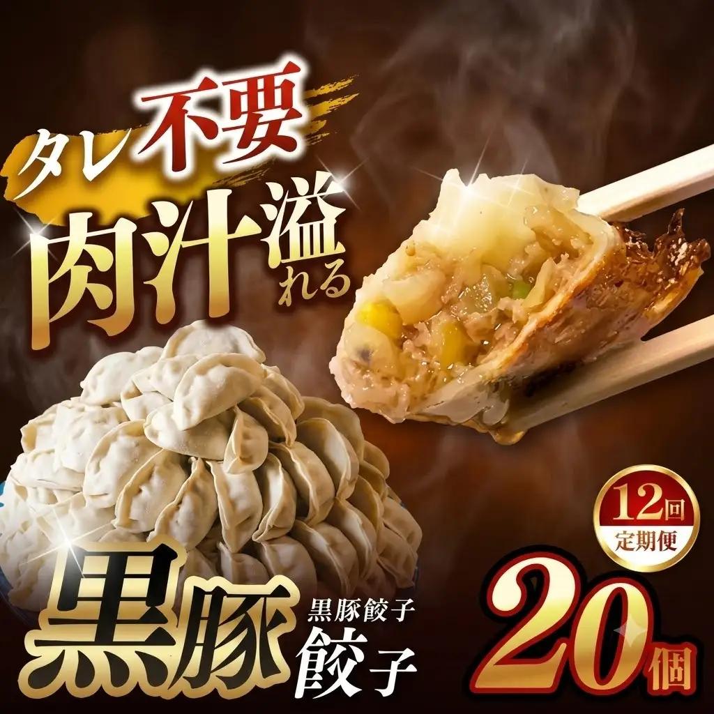 【定期便12回】黒豚餃子 20個