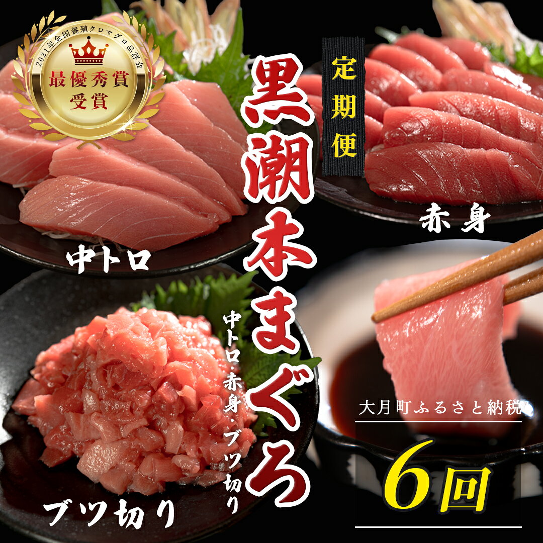 【ふるさと納税】 訳あり 不定貫 定期便 6回 国産 養殖本マグロ 中トロ・赤身・ブツ切り 3種 毎回120〜300g 月替わり×6回 黒潮本まぐろ 最優秀賞受賞 6ヶ月 6か月 半年 柵 刺身用 本マグロ 本鮪 鮪 まぐろ お刺身 さしみ 5万円