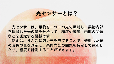 【2027年(令和9年)発送先行予約】来年発送！！光センサー桃「特青」約2kg ALPAA014