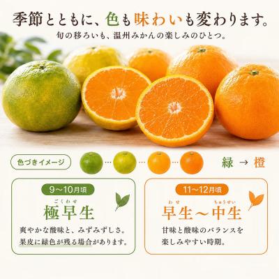ふるさと納税 土佐清水市 小粒 温州みかん 訳あり 1kg  傷み補償300gあり フルーツ 柑橘 不揃い【R01789】 |  | 01