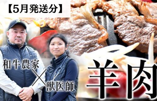 【ふるさと納税】［2025年5月下旬発送分］国産ジンギスカン肉250g（250g×1パック）　国産羊肉　ホゲット　羊肉　液体急速冷凍