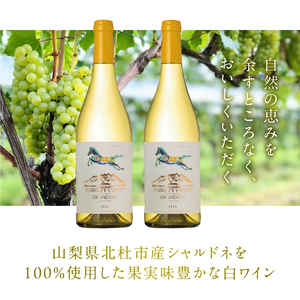 淡路結 シャルドネ 2023 2本セット  ワイン 白ワイン 淡路結 シャルドネ 2023 750ml 2本 白 国産ワイン 山梨県産 北杜市産 白州圃場 柑橘フルーツ アカシア 蜂蜜 ブドウ 記念日