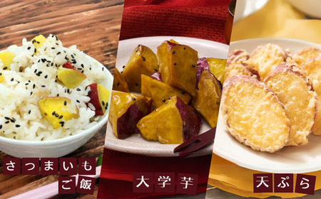 【先行予約】【さつまいも 安納芋 4kg】10月から12月にかけて発送予定 農薬不使用 農薬不使用 あんのう芋 サツマイモ イモ いも クリーム ねっとり 兵庫県 香美町 村岡 むらおか夢アグリ 13