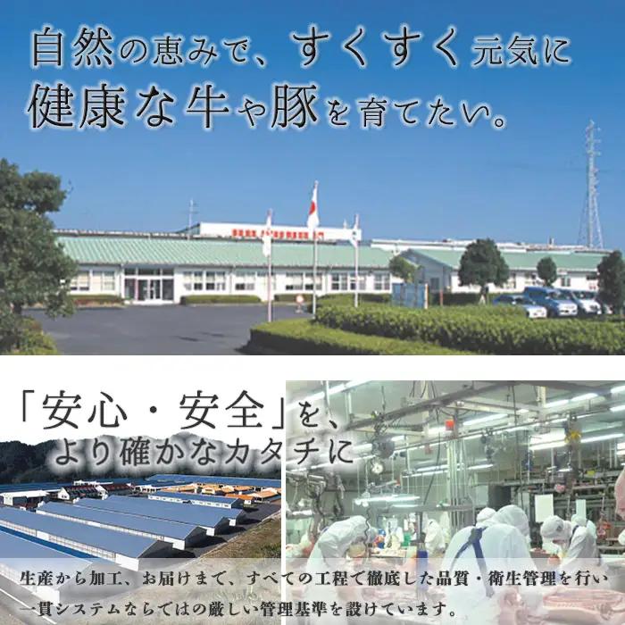 《数量限定・特別企画》R-701 鹿児島黒牛カタローススライスセット(計600g・300g×2P) 国産 九州産 牛肉 黒毛和牛 和牛 国産牛 お肉 スライス すき焼き しゃぶしゃぶ 小分け 冷凍【湧
