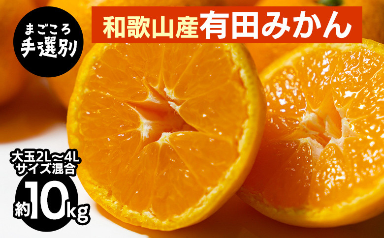 
                  【先行予約】 有田みかん 10kg 大玉  2L～4L サイズ混合 和歌山県産
                