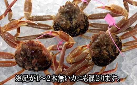 【先行予約】【訳あり 活松葉ガニ 生 3枚（計約1.2～1.5kg）冷蔵】2月以降配送予定 ※足が1～2本折れたカニが混じります カニの本場 香住で水揚げされた新鮮な活松葉ガニをお届け 国産 刺身 し