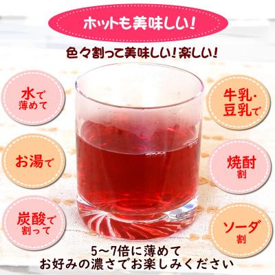 ふるさと納税 新温泉町 濃い赤しそシロップ「赤しその恵み」2本×1kg(5〜7倍濃縮)国産赤紫蘇ジュース  かさばらない容器 |  | 02