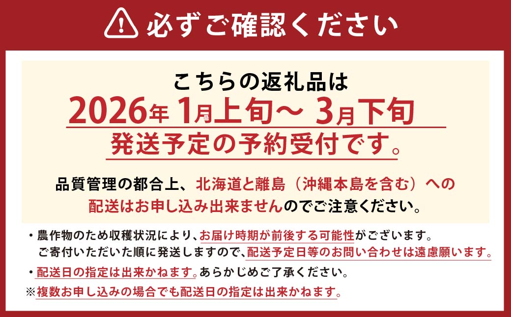 ギフト配送 福岡県産あまおう EX 約450g×2パック 合計約900g 〈特別栽培〉【2026年1月上旬〜3月下旬発送予定】