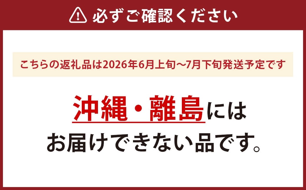 ゴールドラッシュ ヤングコーン 50本