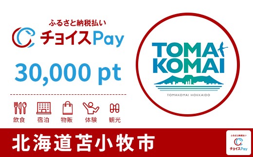 
            苫小牧市チョイスPay 30,000pt【会員限定のお礼の品】
          
