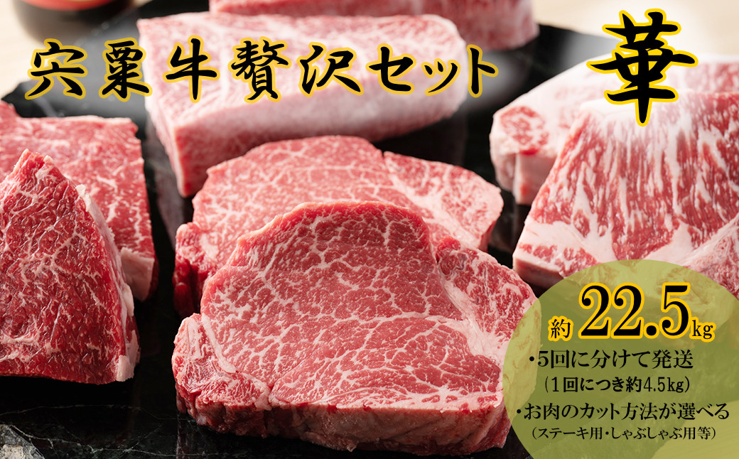 
            F14　宍粟牛贅沢セット【華：22.5kg】　宍粟牛 は 但馬牛 の 血統を受け継いだ 黒毛和牛 　ステーキ もも 焼肉 すき焼き スライス しゃぶしゃぶ 生肉 精肉 ブランド牛 国産牛 贈り物 セット 大容量 定期便
          