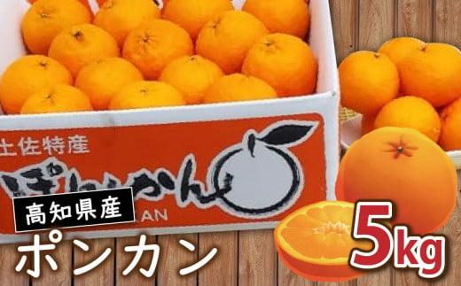 訳あり 家庭用 ポンカン 5kg 2026年1月より発送 早期予約 産地直送 浦ノ内産 ぽんかん みかん 蜜柑 柑橘 訳あり品 高知県 須崎市 MN0031-x