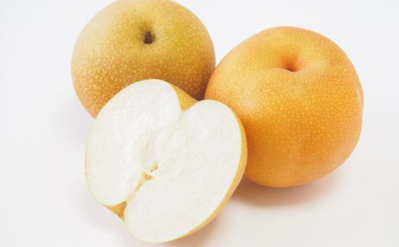 先行予約 和梨 新興 自家用 約5kg [11月上旬から発送予定] 令和7年度 梨 新潟フルーツ 新潟県産 [小林農園] 【010P075】