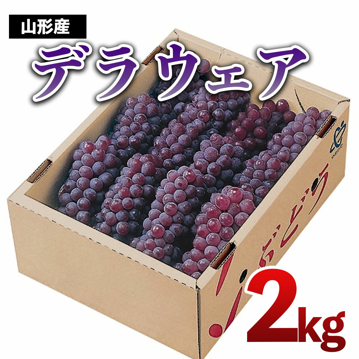 【ふるさと納税】山形市産　デラウェア 2kg(10〜12房) 【令和7年産先行予約】FU18-923くだもの 果物 フルーツ 山形 山形県 山形市 お取り寄せ 2025年産