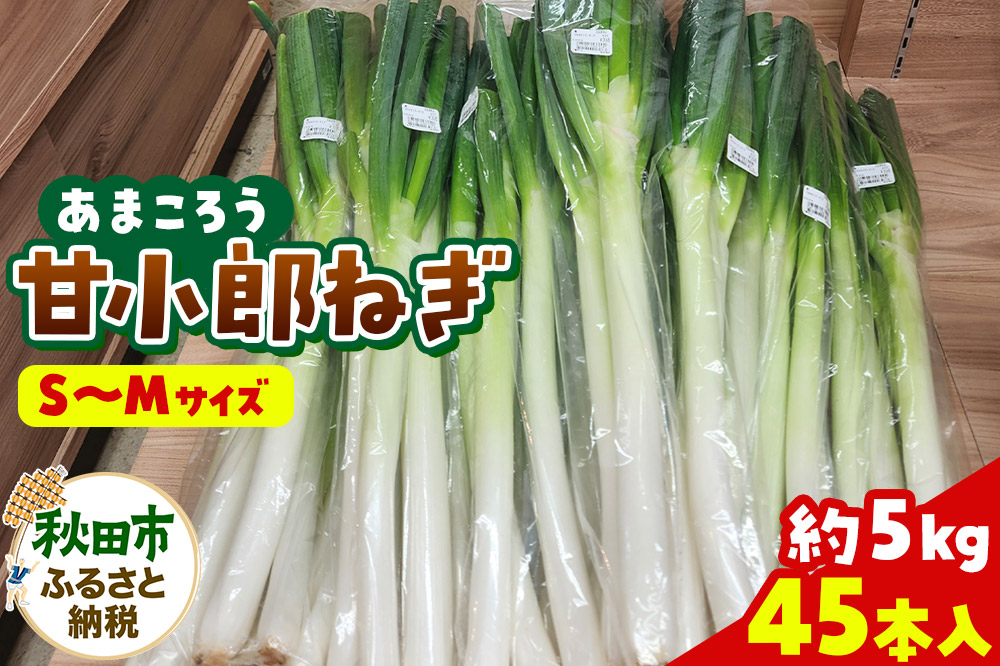 甘小郎ねぎ 約5kg（1箱45本入り）