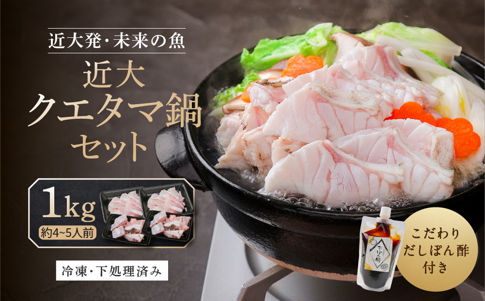 近大クエタマ鍋セット1kg（2027年2月上旬～2月中旬発送） 304018_A024
