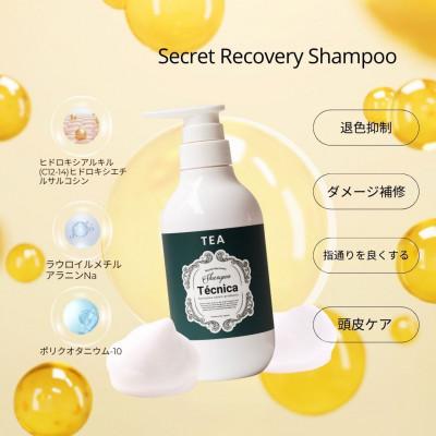ふるさと納税 富山市 【サロン専売品】テクニカ シャンプー(390mL×1)&トリートメント(400mL×1)×1セット |  | 01