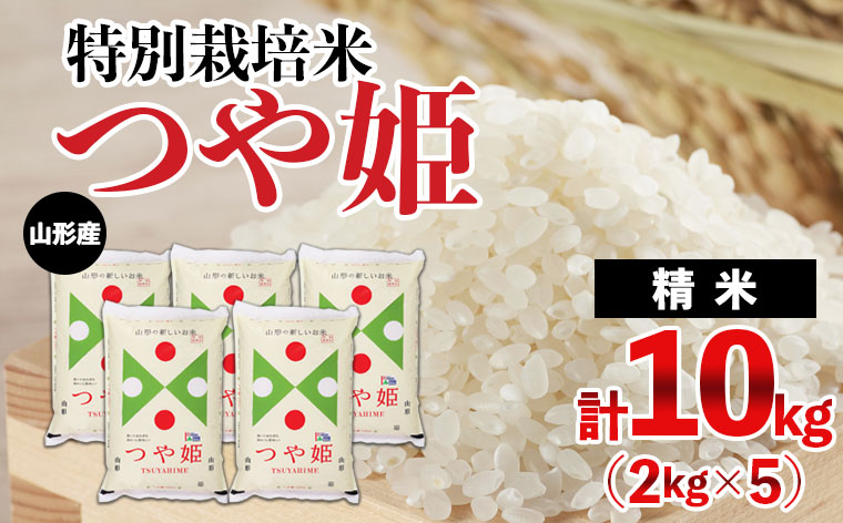 山形産 特別栽培米 つや姫 10kg(2kg×5) 精米 新米 米  FY24-309