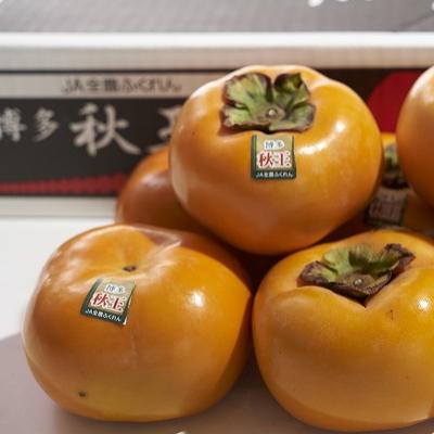ふるさと納税 中間市 【先行受付】秋王(あきおう)約1.5kg箱(4-6玉)(中間市) |  | 01