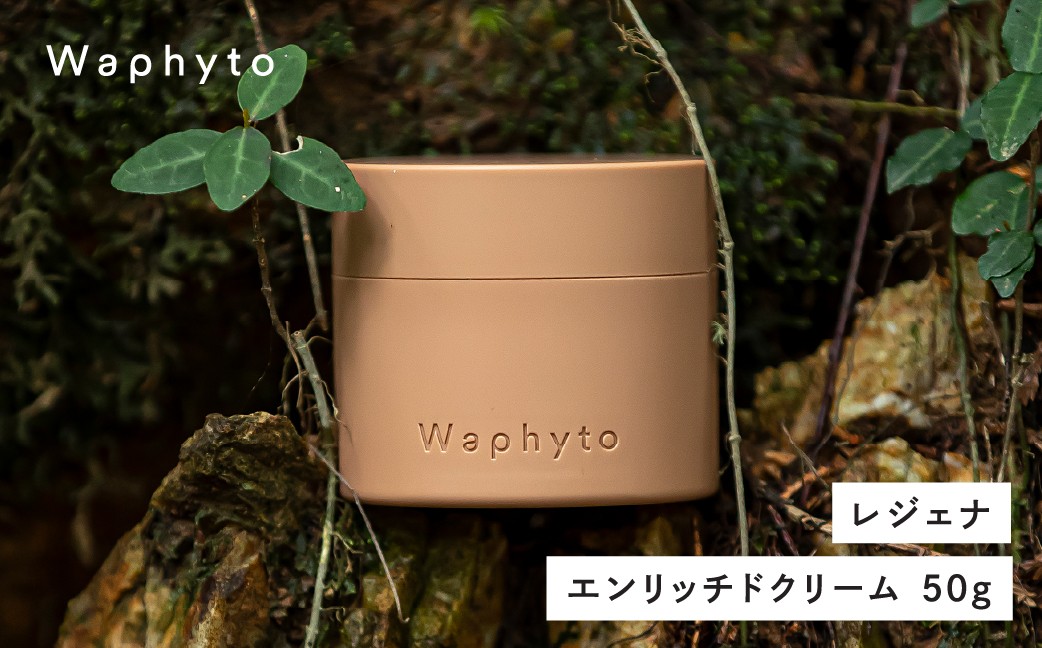 
                  【Waphyto レジェナ 濃密美容クリーム】保湿クリーム エンリッチドクリーム 50g ワフィト 保湿クリーム 保湿クリーム 保湿クリーム 保湿クリーム 保湿クリーム 保湿クリーム 保湿クリーム 保湿クリーム 保湿クリーム 保湿クリーム エンリッチドクリーム エンリッチドクリーム Waphyto レジェナ Waphyto レジェナ 美容クリーム 美容クリーム 化粧品 クリーム
                