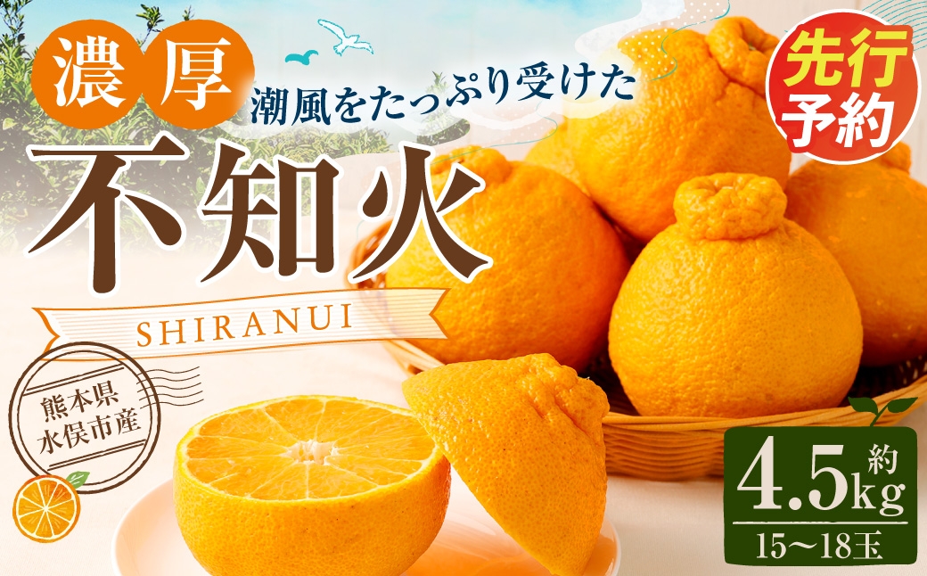 
                  潮風をたっぷり受けた濃厚不知火 12～20玉（約4.5kg）【2027年2月下旬-3月上旬発送予定】 デコポン みかん 柑橘 果物 フルーツ 熊本
                