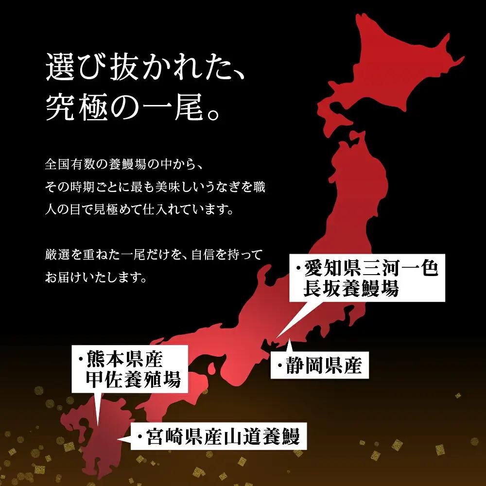国産若うなぎ 3尾 蒲焼 うなぎ