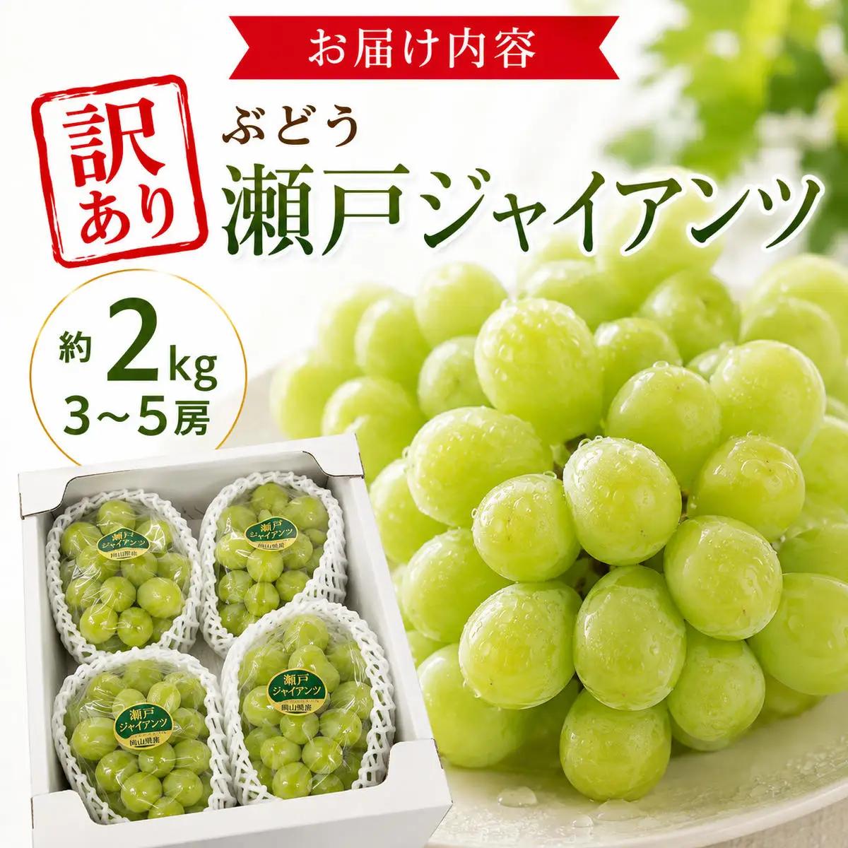 訳あり ぶどう 瀬戸ジャイアンツ 約2kg 3～5房 高梁市産 2026年 先行予約 化粧箱 葡萄 ブドウ うめづぶどう園