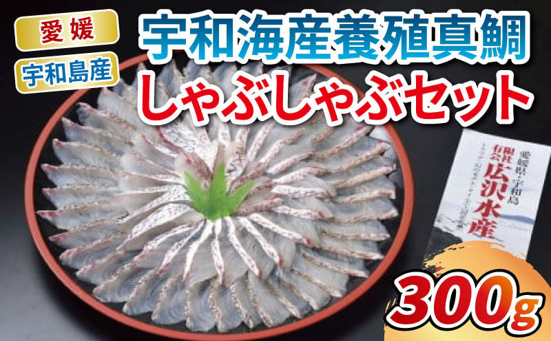 
            ＼10営業日以内発送／ 鯛しゃぶ 宇和海産 真鯛 しゃぶしゃぶ セット エビス 真鯛しゃぶしゃぶ 用 300g ポン酢 80ml 鯛 マダイ タイ 冷凍 養殖 海の幸 魚 さかな 魚介 魚貝 海鮮 鮮魚 水産 加工品 アレンジ 産地直送 国産 愛媛 愛媛県 宇和海 宇和島 D020-047002
          