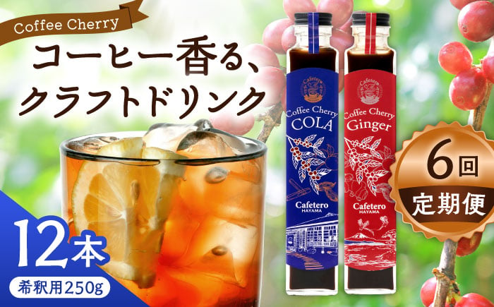 
            【全6回定期便】カフェテーロ葉山　コーヒーチェリーコーラ 6本 コーヒーチェリージンジャー 6本/ 天然エネジードリンク 酸味 フルーティ 神奈川県【合同会社エンディレクト】 [ASBM020]
          