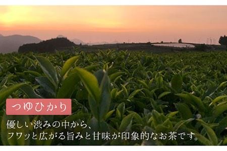 そのぎ茶《茶縁》「つゆひかり」100g×2袋入り 茶 お茶 緑茶 日本茶 茶葉 東彼杵町/東坂こくまる商店 [BCL002] / 茶 お茶 緑茶 日本茶 茶葉 茶 お茶 緑茶 日本茶 茶葉 茶 お茶 