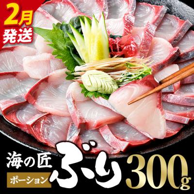 ふるさと納税 佐伯市 <先行予約受付中!2027年2月以降順次発送予定>海の匠 ブリ ポーション (300g)