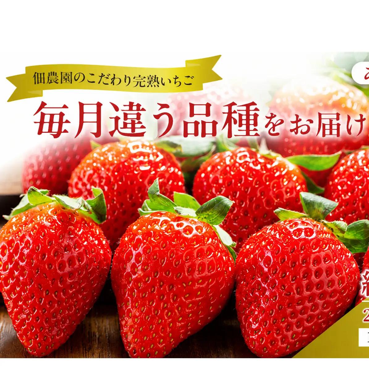 いちご あすかルビー 古都華 奈良県産 いちご【270g×2パック】【定期便2回】【先行予約】